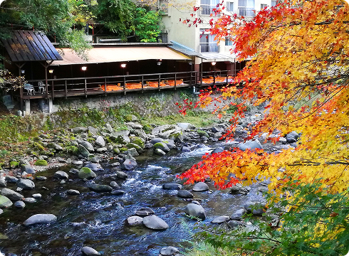 IMG_20181123_161215 1