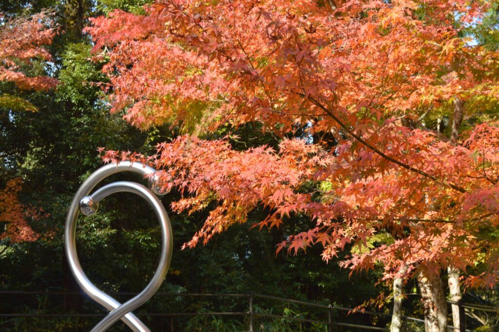 紅葉